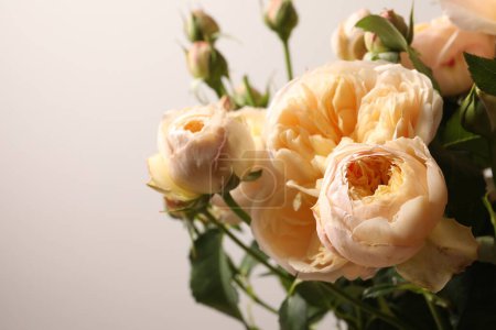 Téléchargez les photos : Bouquet de belles roses fraîches sur fond blanc, gros plan - en image libre de droit