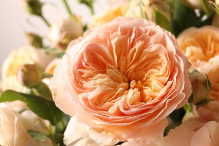 Téléchargez les photos : Beau bouquet de fleurs - en image libre de droit