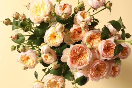 Photo for Fresh roses bouquet on white background, top view - Royalty Free Image