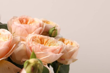 Téléchargez les photos : Beau bouquet de roses fraîches sur fond blanc - en image libre de droit