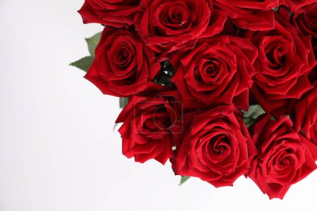 Téléchargez les photos : Belles fleurs rouges sur fond blanc - en image libre de droit
