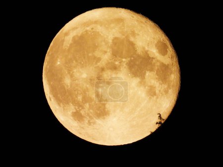 Foto de Una luna llena increíblemente hermosa - Imagen libre de derechos