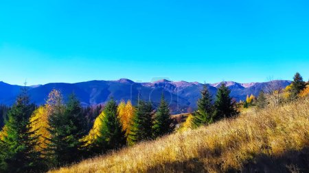 Téléchargez les photos : Paysages pittoresques et magnifiques de l'automne doré dans les montagnes des Carpates, des Alpes et de l'Himalaya - en image libre de droit