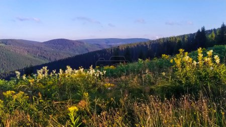 Téléchargez les photos : Paysages pittoresques et magnifiques de l'automne doré dans les montagnes des Carpates, des Alpes et de l'Himalaya - en image libre de droit