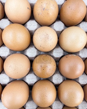 Téléchargez les photos : Faire revenir les œufs empilés en rangées dans un plateau en papier. vue de dessus - en image libre de droit