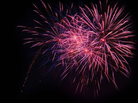 Photo for Colorful fireworks in the night sky - Royalty Free Image