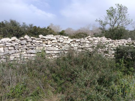 An ancient stone wall stands guard amidst wild flora, its silent history whispered to the skies.