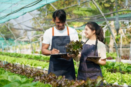 Businessperson or farmer checking hydroponic soilless vegetable in nursery farm. Business and organic hydroponic vegetable concept. Poster 648438136