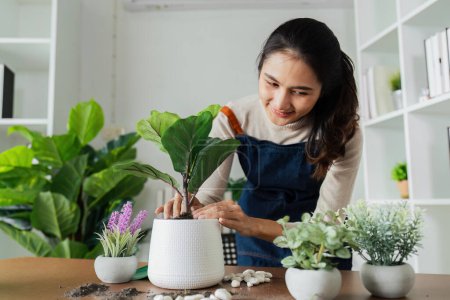 mujer planta una flor en una maceta para decorar la casa para crear un buen ambiente.