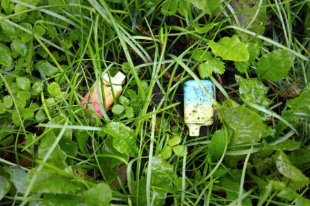 Photo for Two bright coloured electronic cigarette vapes left discarded in green wet undergrowth. Both devices are muddy and worn. - Royalty Free Image