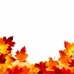 Autumnal-themed vectors featuring leaves, branches, trees. Ideal for commercial applications, with ample space for customizable text.