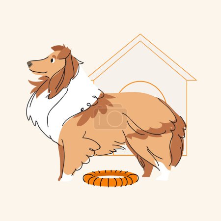 Illustration for Shetland sheepdog with toy. Isolated on beige background. Vector pet character flat style illustration - Royalty Free Image