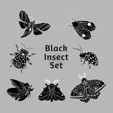 Téléchargez les illustrations : Insectes noirs illustration vectorielle d'ensemble d'art linéaire. Nocturne et scarabée, papillon. silhouette de contour isolé sur fond gris - en licence libre de droit