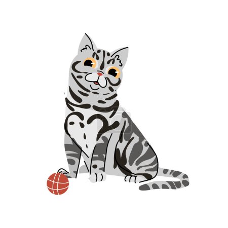 Illustration for American Shorrthair cat breed with ball isolated on white background. Pet animal vector character flat illustration - Royalty Free Image