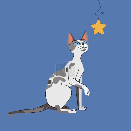 Illustration for Devon Rex cat with toy star isolated on blue background. Animal pet character vector illustration in flat style - Royalty Free Image