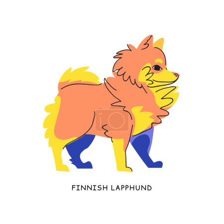 Illustration for Fiinnish lapphund vector dog isolated on beige background. Bright color pet character flat style illustration - Royalty Free Image