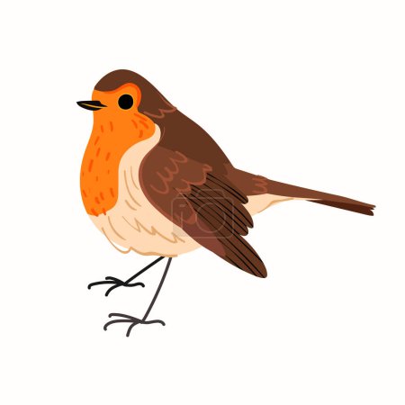 Illustration for Cute robin redbreast bird isolated on white background. Vector flat illustration - Royalty Free Image