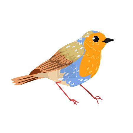 Téléchargez les illustrations : Mignon merle roux oiseau isolé sur fond blanc. Illustration vectorielle plate - en licence libre de droit
