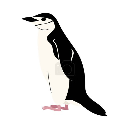 Chinstrap Pingouin vecteur isolé sur fond blanc. Illustration de style plat dans le personnage d'oiseau Antarctique