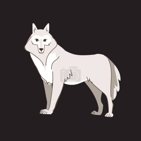 Illustration for White wolf standing. Wild animal character. Vector flat Illustration isolated on black background - Royalty Free Image