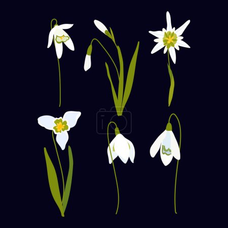 Snowdrops flower vector set isolated on white background. Cute Spring garden plant collection illustration