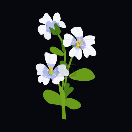 Illustration for Water hyssop Brahmi or Bacopa monnieri isolated on white background. Spring Garden Vector illustration for postcards, posters, clothing design, cosmetics, banners, patterns, social media - Royalty Free Image
