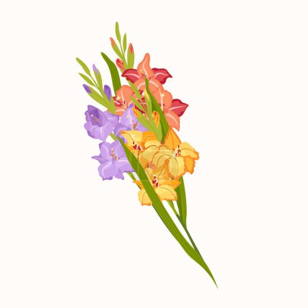 Ilustración de Hermoso ramo de gladiolo colorido. Ilustración de dibujos animados vectoriales de flores de primavera y verano de tamaños grandes y pequeños con brotes cerrados y abiertos sobre fondo blanco - Imagen libre de derechos