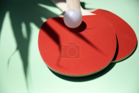 Foto de Mesa de ping pong con sombra de planta - Imagen libre de derechos