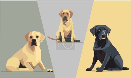 dog breed of different breeds 