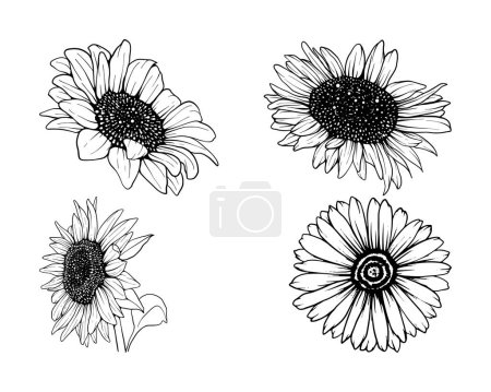 Téléchargez les photos : Illustration dessinée à la main des bordures des fleurs - en image libre de droit