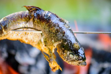 Téléchargez les photos : Gros plan sur la cuisson du poisson sur un feu de camp, capturé dans une résolution 4K fascinante - en image libre de droit