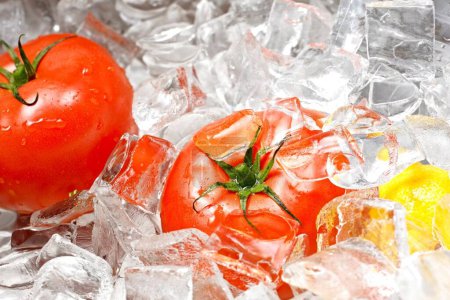 Photo for Mesmerizing Close-Up of Fresh Tomatoes Glistening in Ice, Captured in Breathtaking 4K Resolution - Royalty Free Image