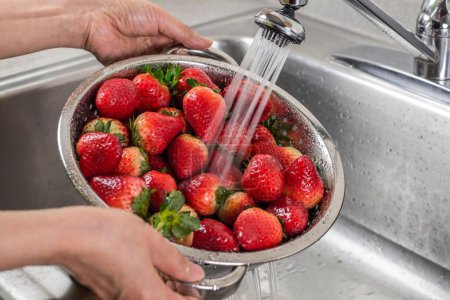 Téléchargez les photos : Frais et propre : Image 4K de lavage des fraises dans l'évier de cuisine - en image libre de droit