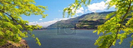 Springtime Catch: 4K Image of Salmon Fishing in the Scenic Columbia River Gorge, USA