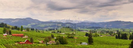 Splendeur printanière : Mt. Panorama de Hood et Orchard Valley en Oregon, États-Unis (4K Ultra HD)