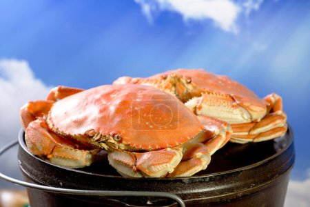 Culinary Delight: 4K Ultra HD Image of Cooking Dungeness Crab in Cast Iron Pot