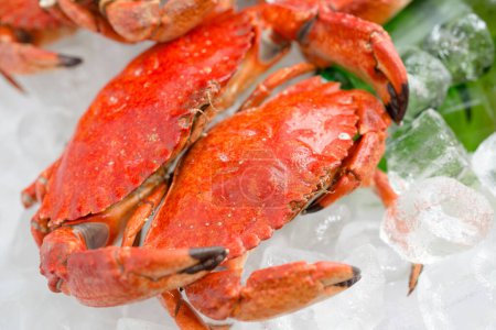 Culinary Elegance: 4K Ultra HD Image of Cooked Crab on Bed of Ice