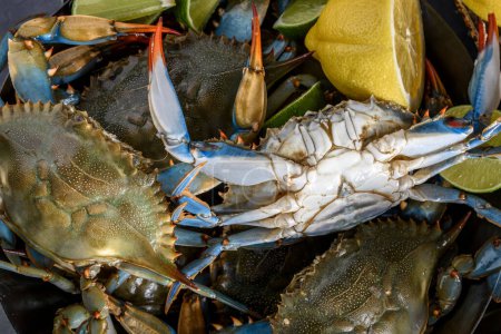 Culinary Harmony: 4K Ultra HD Image of Close-Up of Fresh Blue Crab with Vegetables