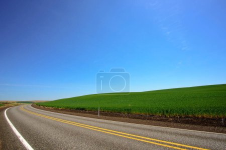 Frühlingsreise: 4K Ultra-HD-Bild der Straße durch das grüne Weizenfeld im Frühling
