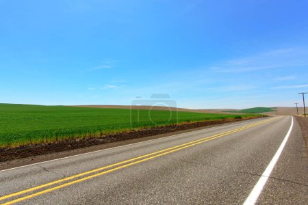 Frühlingsreise: 4K Ultra-HD-Bild der Straße durch das grüne Weizenfeld im Frühling