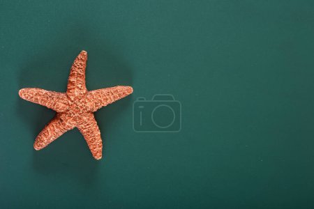 Underwater Beauty: 4K Ultra HD Image of Starfish on Green Background