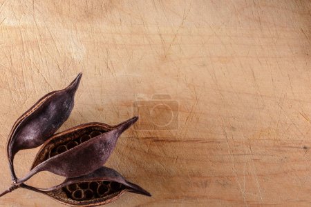Natural Decor: 4K Ultra HD Image of Bottle Tree Seed Pods on Wooden Background