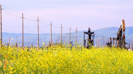 Téléchargez les photos : Pompe à huile Jacks au milieu de Super Bloom : 4K Ultra HD Image of California Fields - en image libre de droit