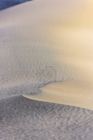 Nachmittagsglühen: 4K Ultra-HD-Bild der Sanddüne mit Nachmittagslicht