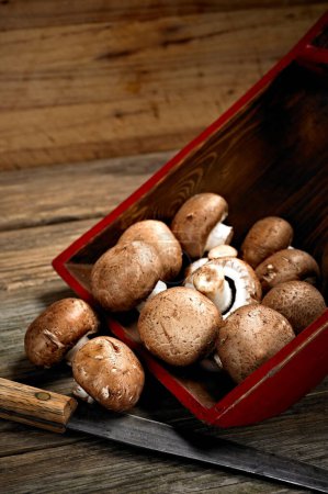 Culinary Treasure: 4K Ultra HD Image of Dried Shiitake Mushroom