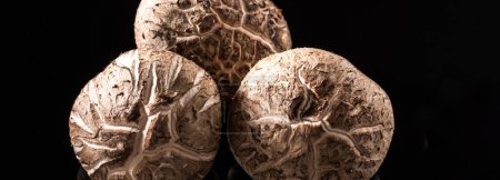 Nature's Bounty: 4K Ultra HD Image of Dried Shiitake Mushroom