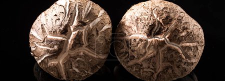 Bounty der Natur: 4K Ultra-HD-Bild eines getrockneten Shiitake-Pilzes