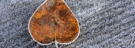 Frostiges Herz: 4K-Ultra-HD-Bild eines einzelnen braunen Blattes am frühen Morgen gefroren