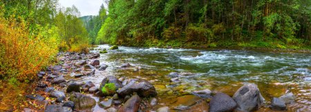 Tranquille nature sauvage : Image Ultra HD 4K de la forêt et du ruisseau dans le Pacifique Nord-Ouest des États-Unis