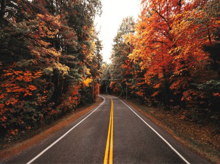Autumn Symphony: Captivating New England Road in 4K Ultra HD